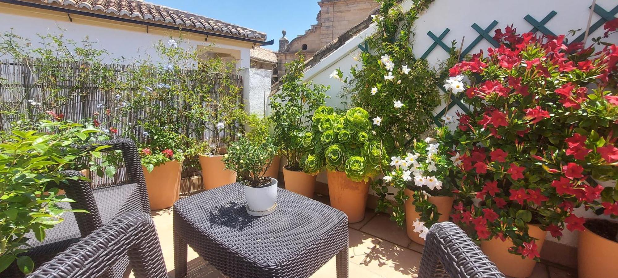 Apartamentos Los Descalzos Angel With Private Terrace Free Parking Ronda Dış mekan fotoğraf