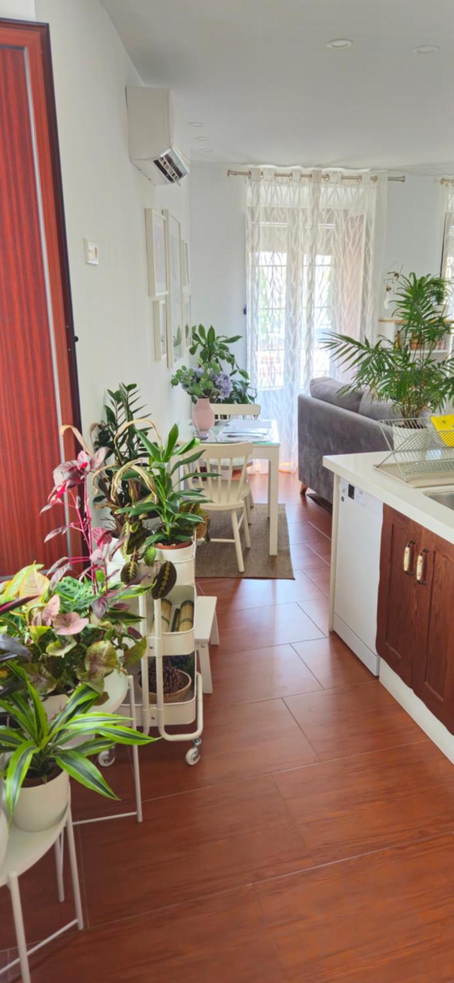 Apartamentos Los Descalzos Angel With Private Terrace Free Parking Ronda Dış mekan fotoğraf