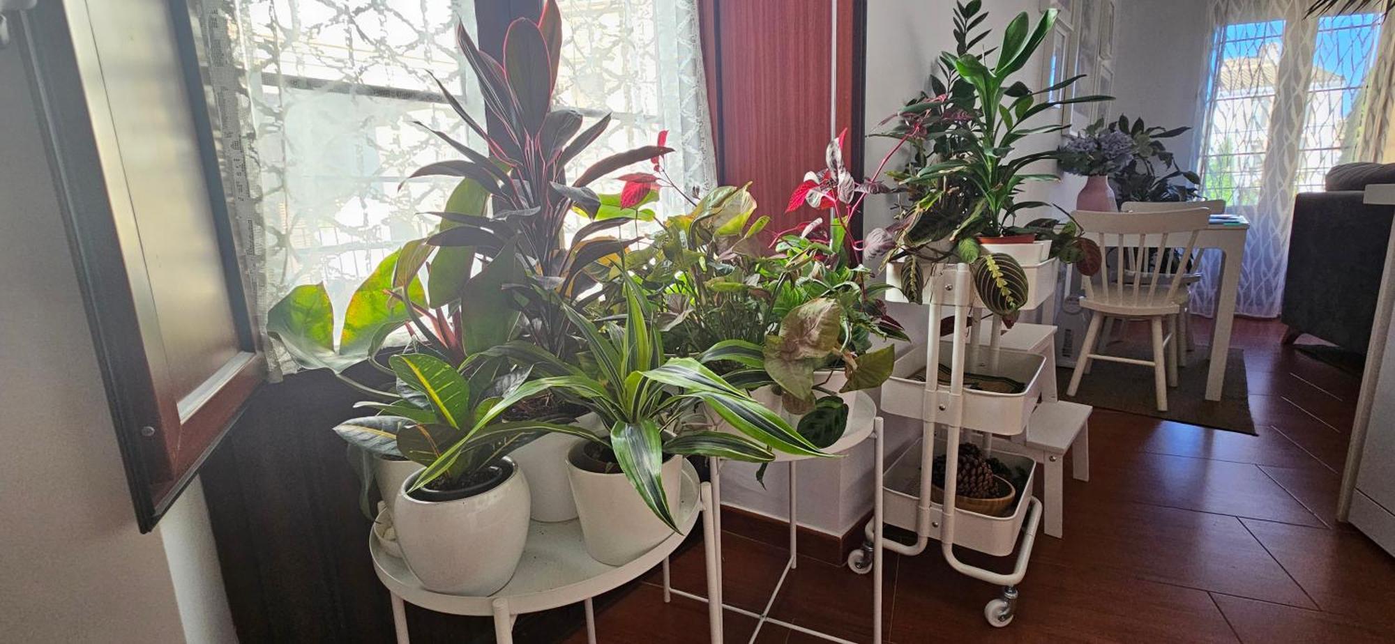 Apartamentos Los Descalzos Angel With Private Terrace Free Parking Ronda Dış mekan fotoğraf