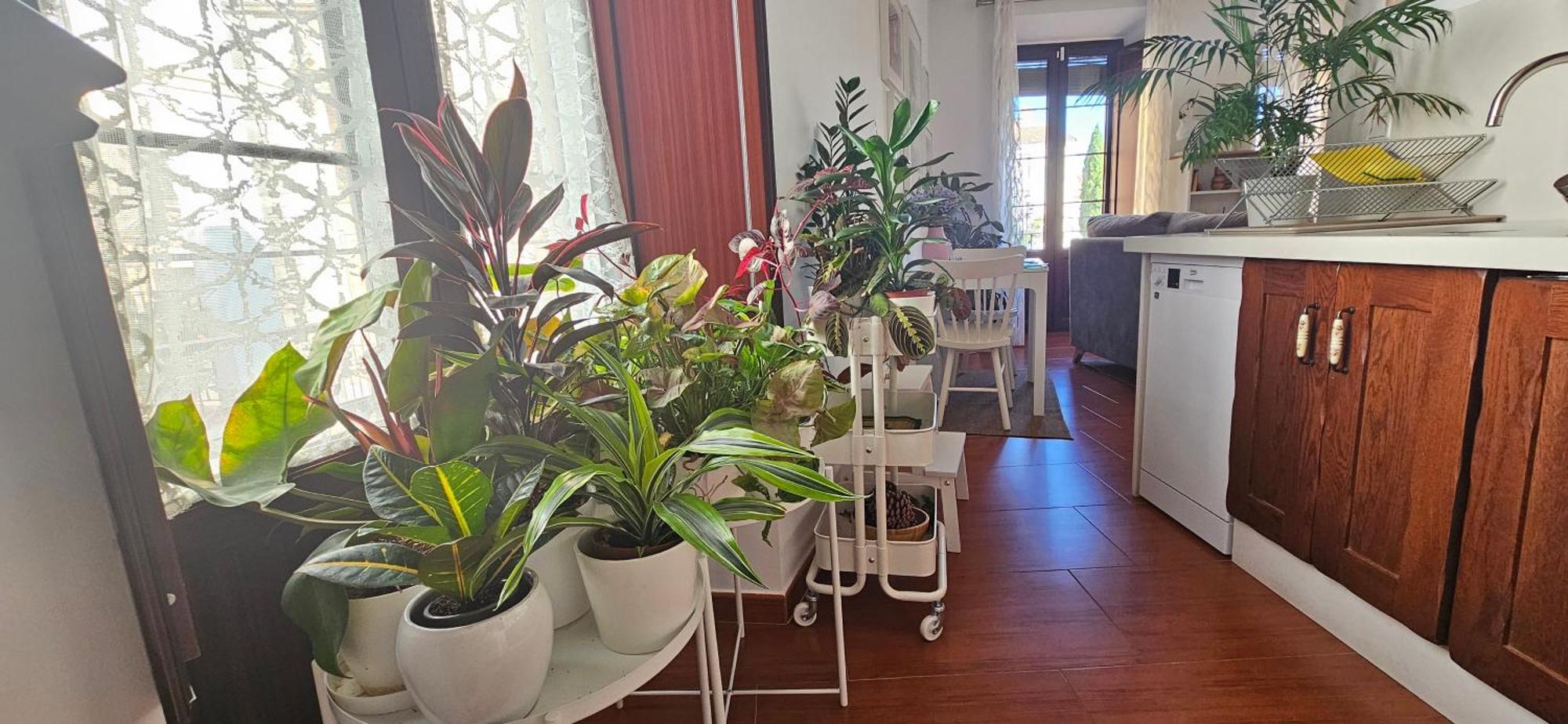 Apartamentos Los Descalzos Angel With Private Terrace Free Parking Ronda Dış mekan fotoğraf