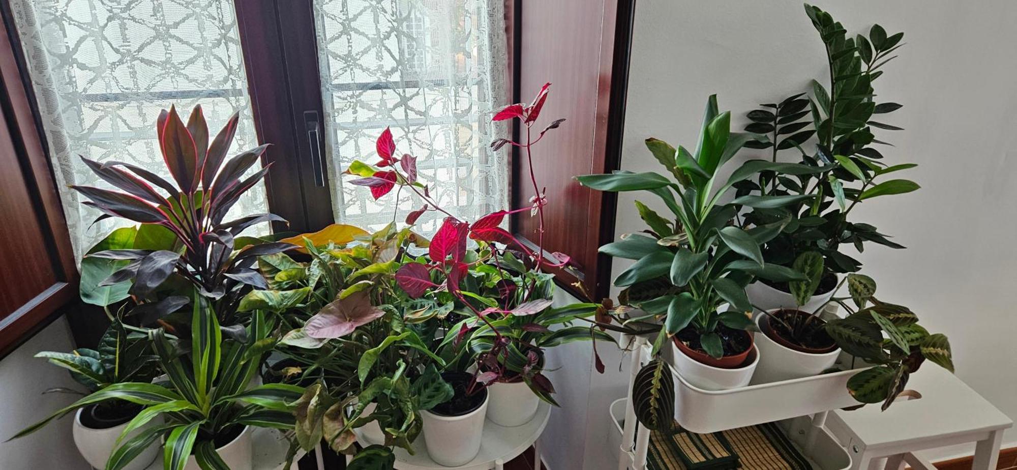 Apartamentos Los Descalzos Angel With Private Terrace Free Parking Ronda Dış mekan fotoğraf