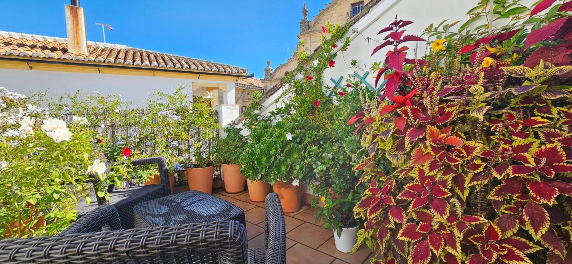 Apartamentos Los Descalzos Angel With Private Terrace Free Parking Ronda Dış mekan fotoğraf